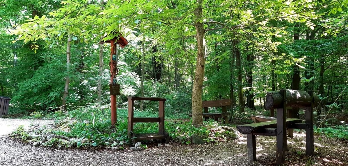 Erzsebet_terdeplo Erzsebet_terdeplo