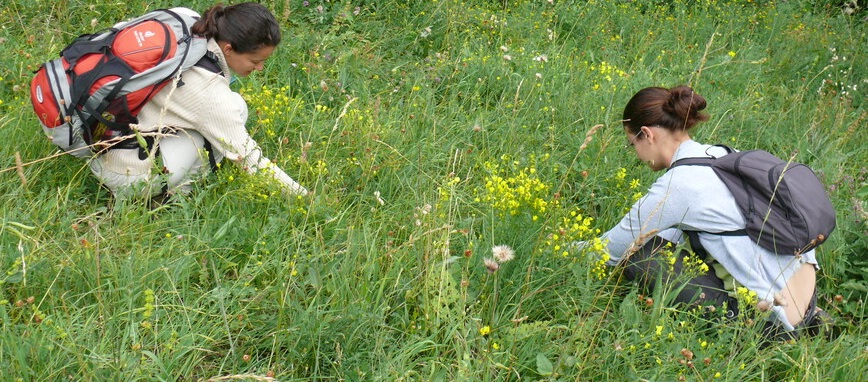 hatasvizsgalatok hatasvizsgalatok