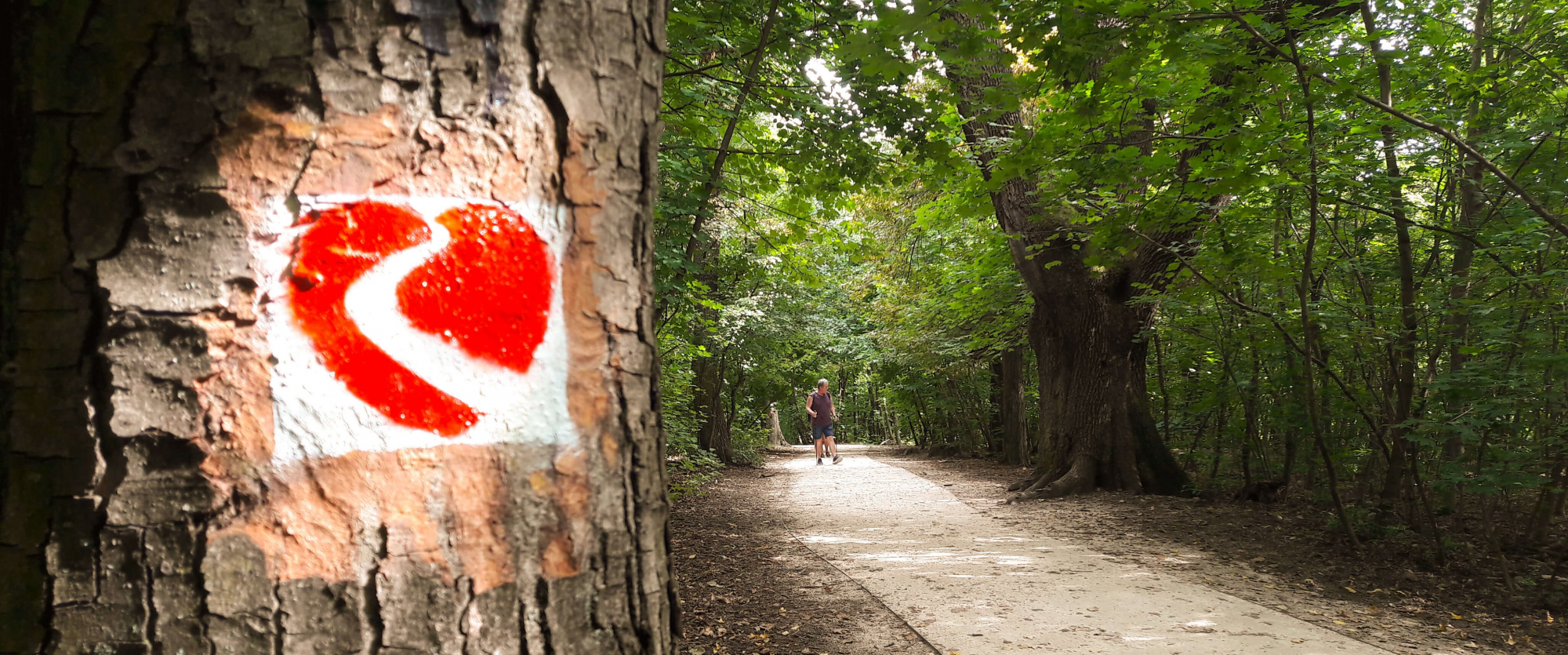 kardioosveny_tanosveny kardioosveny_tanosveny