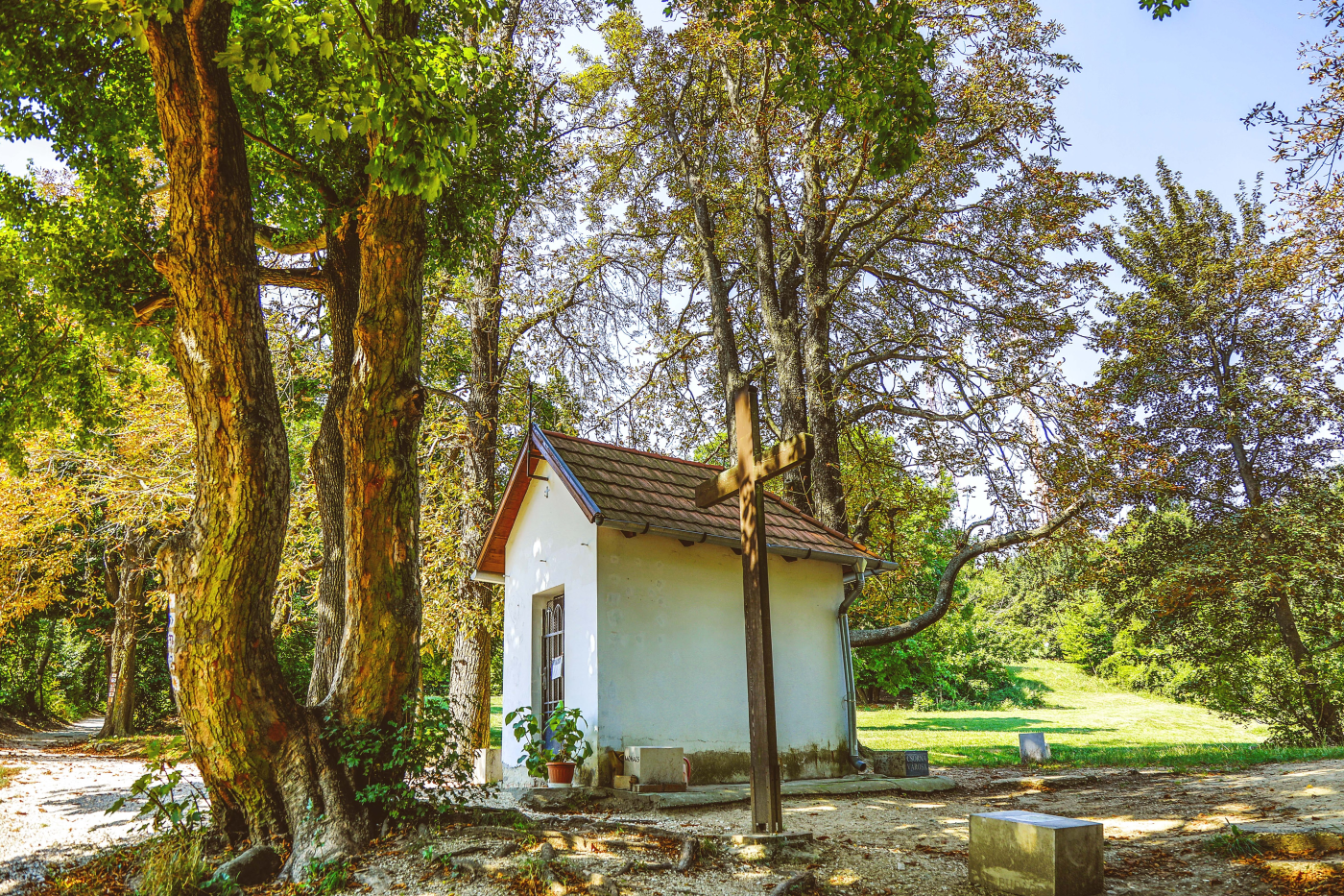 _D1A0992_akoszu _D1A0992_akoszu